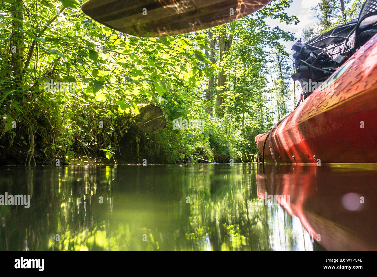 Réserve de biosphère de Spreewald, Allemagne, randonnée, kayak tours locaux, zone de loisirs, vacances en famille, sortie en famille, pagaie, aviron, désert, excurs Banque D'Images