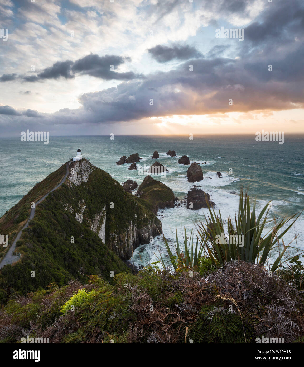 Nugget Point au lever du soleil, Catlins, Otago, île du Sud, Nouvelle-Zélande, Océanie Banque D'Images