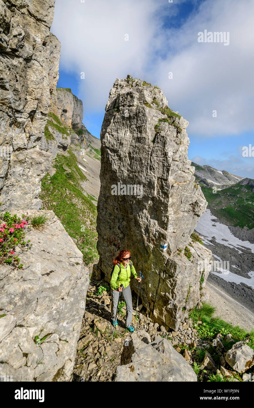 Randonnée femme rock entre spires vers Hoher Ifen, Hoher Ifen, Alpes, vallée de l'Allgaeu Walsertal, Vorarlberg, Autriche Banque D'Images