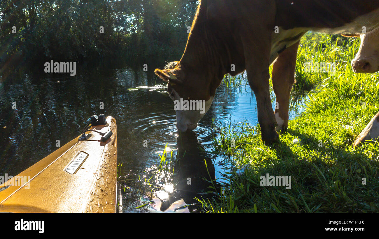 Réserve de biosphère de Spreewald, Allemagne, randonnée, kayak, aire de loisirs, vacances en famille, sortie en famille, pagaie, aviron, désert, excursion, Banque D'Images