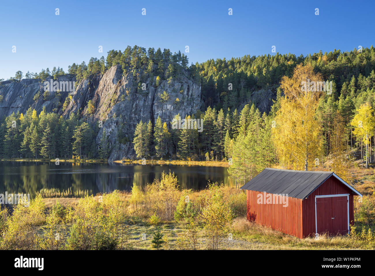 Eidstjønn le lac en automne, Treungen, Nissedal, télémark, Østlandet, sud de la norvège, Norvège, Scandinavie, Europe du Nord, Europe Banque D'Images