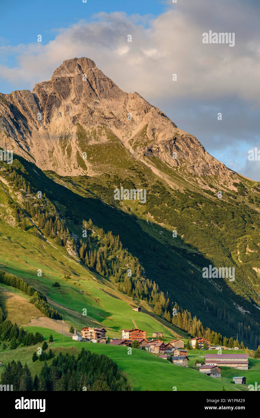Tête de castor de Lech, Lech, Lechtal, Alpes d'Allgäu, Vorarlberg, Autriche Banque D'Images