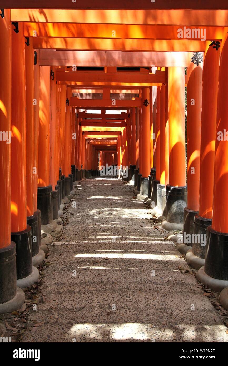 Fushimi Inari Taisha tori gates - vue du Japon. Banque D'Images