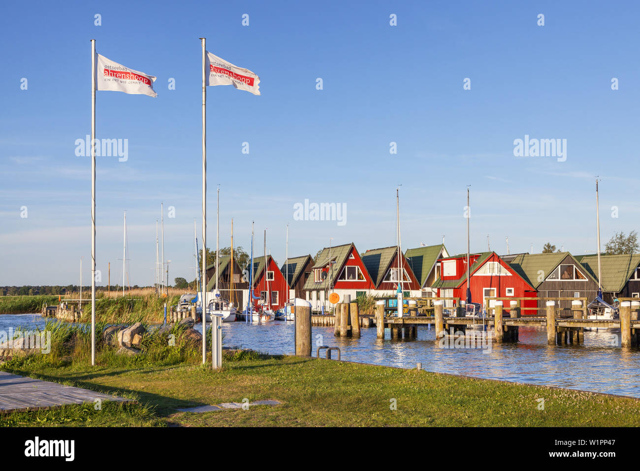 Dans le port, station balnéaire Baltique Althagen Ahrenshoop, Fischland-Darss-Zingst, côte de la mer Baltique, Mecklembourg-Poméranie-Occidentale, Allemagne du Nord, l'Allemagne, Banque D'Images