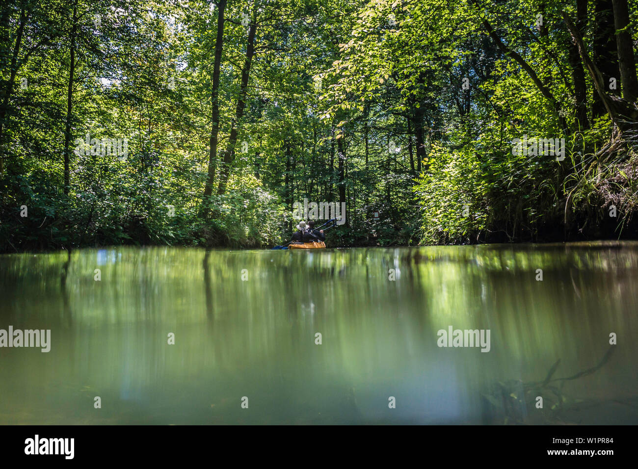 Réserve de biosphère de Spreewald, Allemagne, randonnée, kayak tours locaux, zone de loisirs, vacances en famille, sortie en famille, pagaie, aviron, désert, excurs Banque D'Images