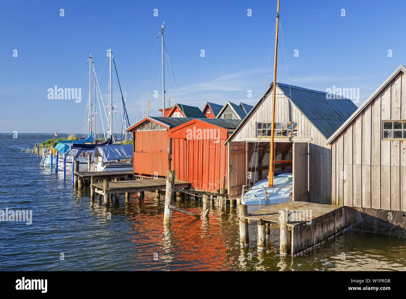 Dans le port, station balnéaire Baltique Althagen Ahrenshoop, Fischland-Darss-Zingst, côte de la mer Baltique, Mecklembourg-Poméranie-Occidentale, Allemagne du Nord, l'Allemagne, Banque D'Images