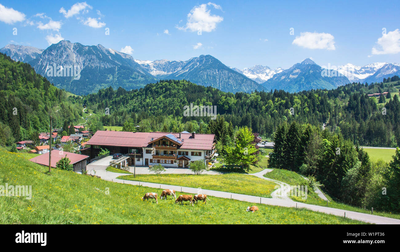 Allemagne, Bavière, Alpes, Oberallgaeu, Oberstdorf, paysage d'été, vacances d'été, vacances, vacances en famille, randonnées, Montagnes, Montagne pano Banque D'Images