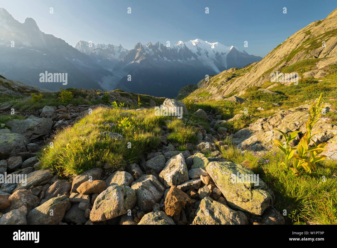 Aiguille verte, Grandes Jorasses, Massif du Mont Blanc, Haute-Savoie, Frankreich Banque D'Images