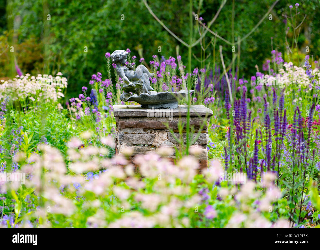 Détail de lunettes dans jardin clos fleuri chez NTS Geilston Garden à Cardross, Argyll and Bute, Ecosse, Royaume-Uni Banque D'Images