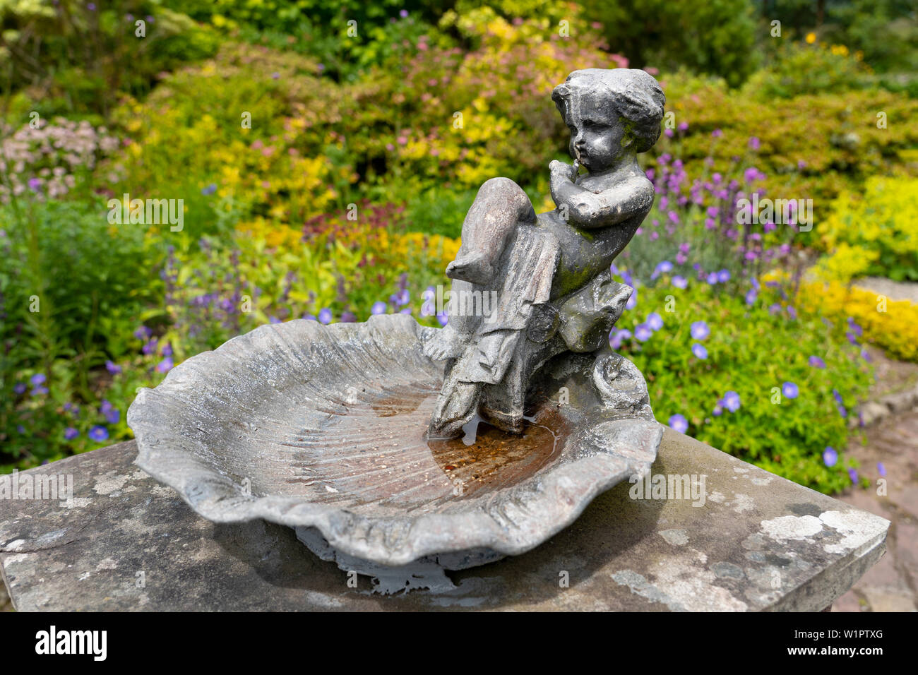 Détail de lunettes dans jardin clos fleuri chez NTS Geilston Garden à Cardross, Argyll and Bute, Ecosse, Royaume-Uni Banque D'Images