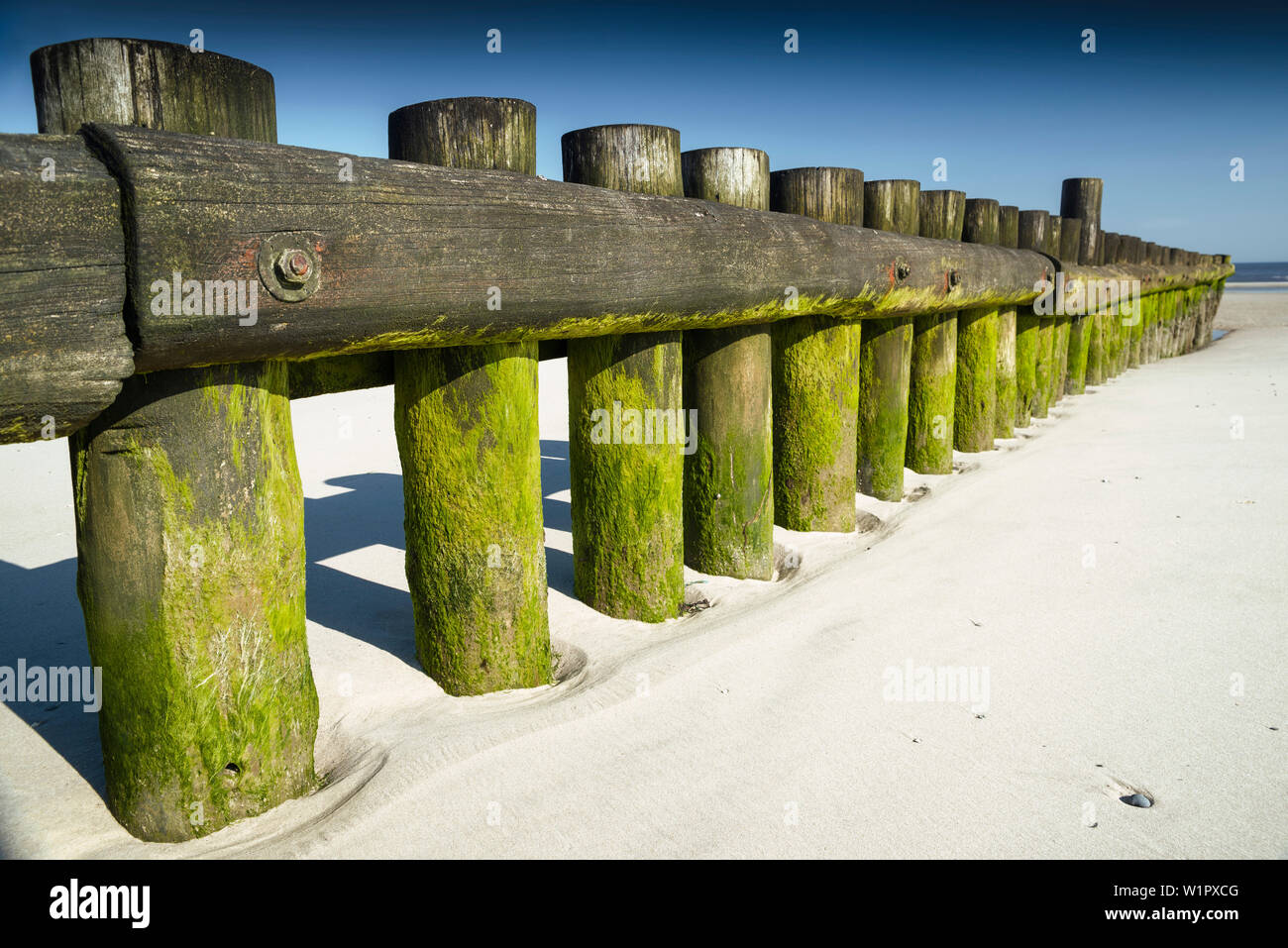 Épi, plage, Wangerooge, îles de la Frise orientale, Friesland - quartier, Basse-Saxe, Allemagne, Europe Banque D'Images