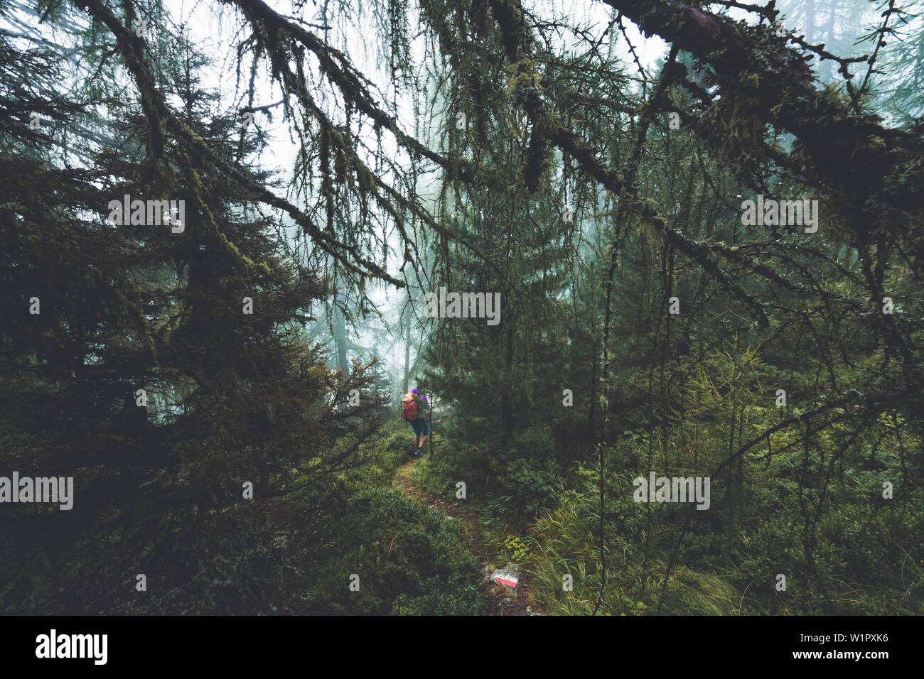 La signalétique dans la forêt brumeuse avec alpiniste dans l'arrière-plan, E5, Alpenüberquerung, 4e étape, Skihütte Zams, Lacheralm,Pitztal, Wenns, Gletscherstub Banque D'Images