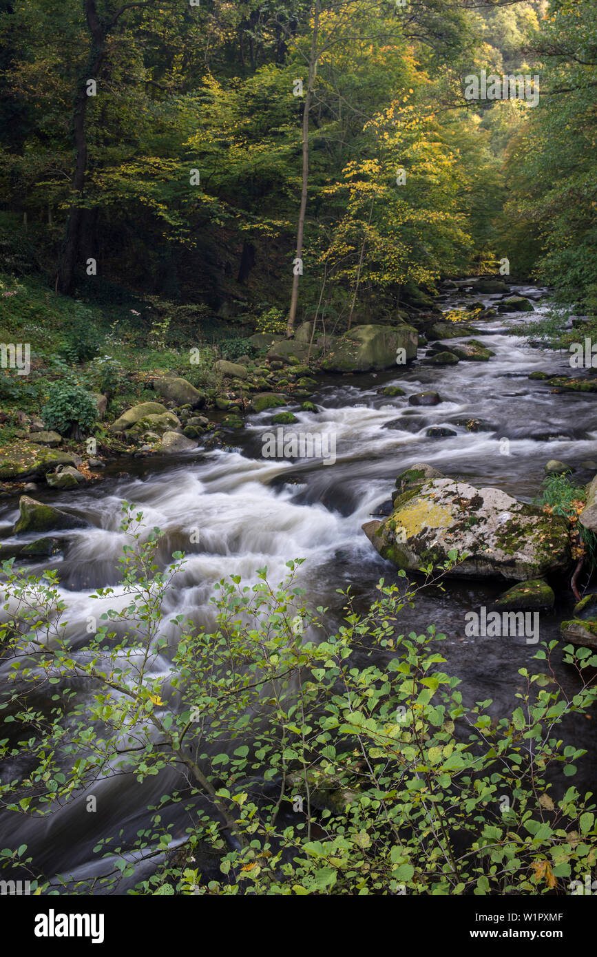 River Bode, vallée de Bode, Thale, District de Harz, Parc National de Harz, Saxe-Anhalt, Allemagne, Europe Banque D'Images