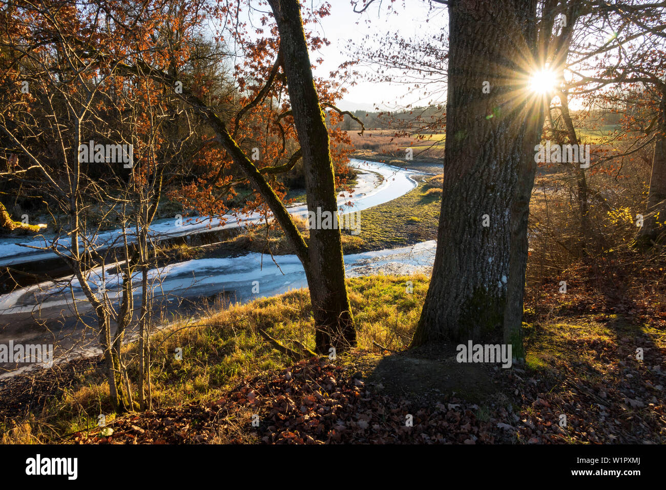 Lumière du soir à la fin de l'automne à la rivière Loisach, Upper Bavaria, Germany, Europe Banque D'Images