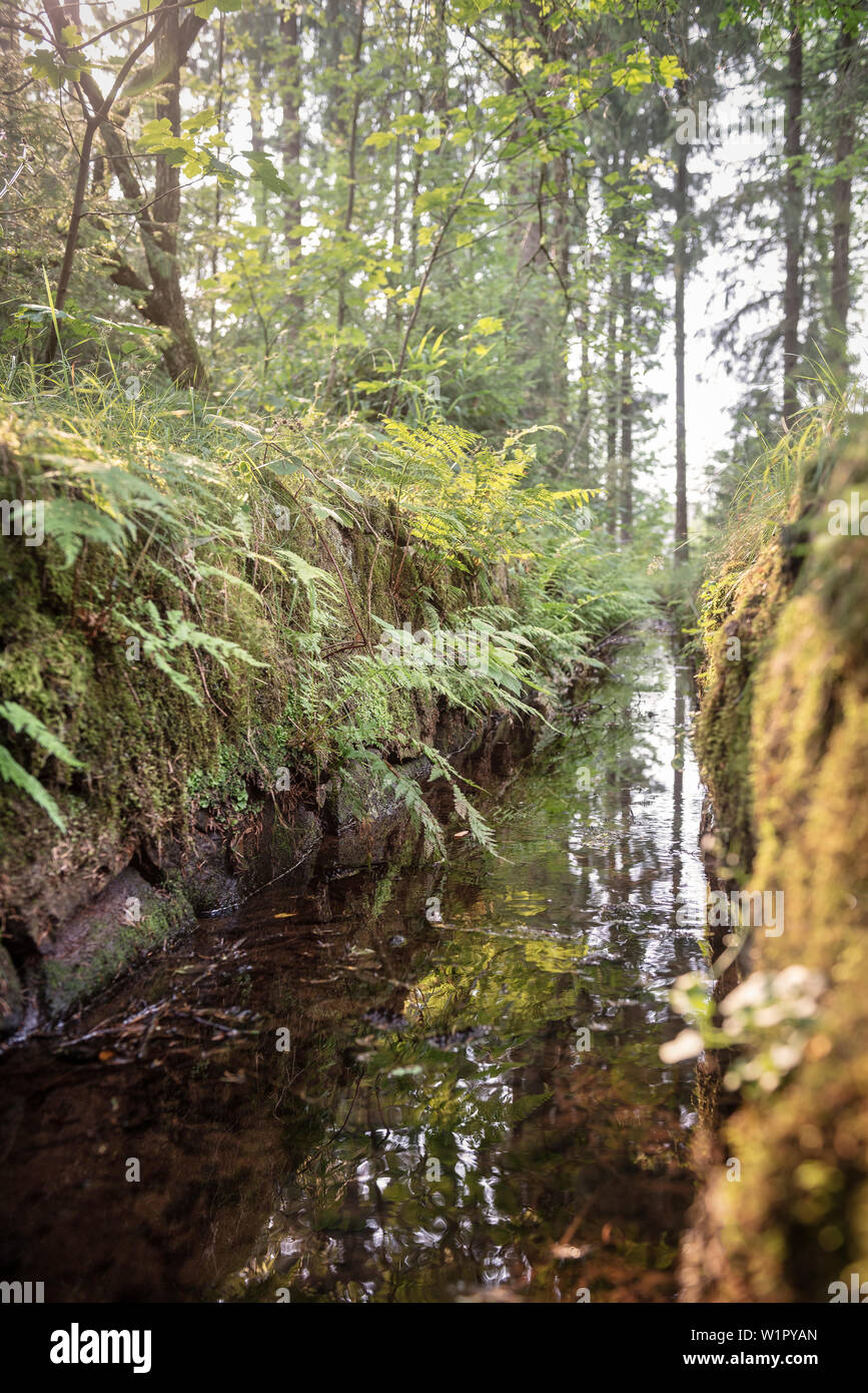 L'UNESCO Patrimoine Mondial de l'approvisionnement en eau et distribution de la zone de montagne du Harz, canal d'eau, système ouvert autour de Goslar, Basse-Saxe, Allemagne Banque D'Images