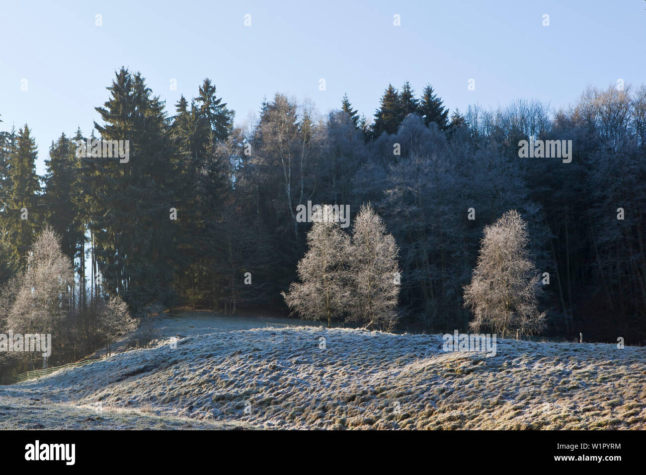 Paysage d'hiver glacial près de Frankenau, Hesse, Germany, Europe Banque D'Images