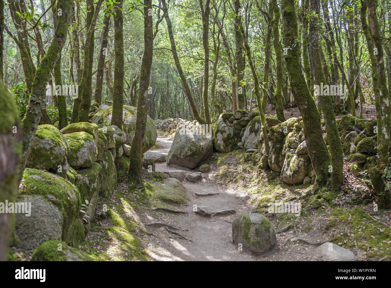 Cucuruzzu Banque D Image Et Photos Alamy