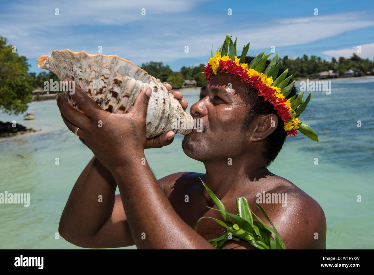 Un homme à la fleur et à feuilles souffle la couronne dans un grand coquillage d'annoncer l'arrivée de visiteurs d'une expédition en bateau de croisière, l'Atoll de Butaritari, Gil Banque D'Images