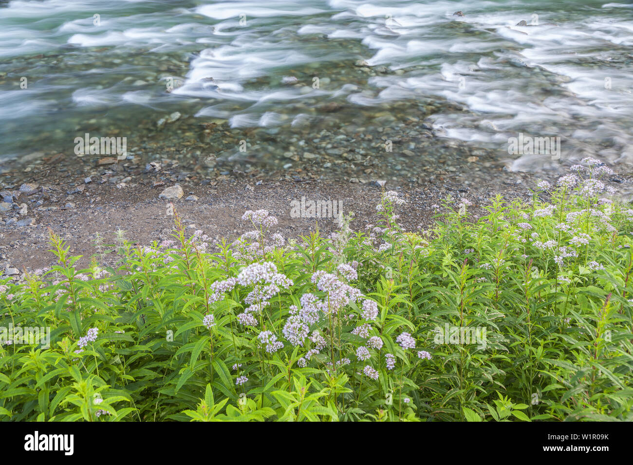 Grønsdalslona Låtefossen sous la rivière, Hordaland, Fjord Norway, sud de la norvège, Norvège, Scandinavie, Europe du Nord, Europe Banque D'Images