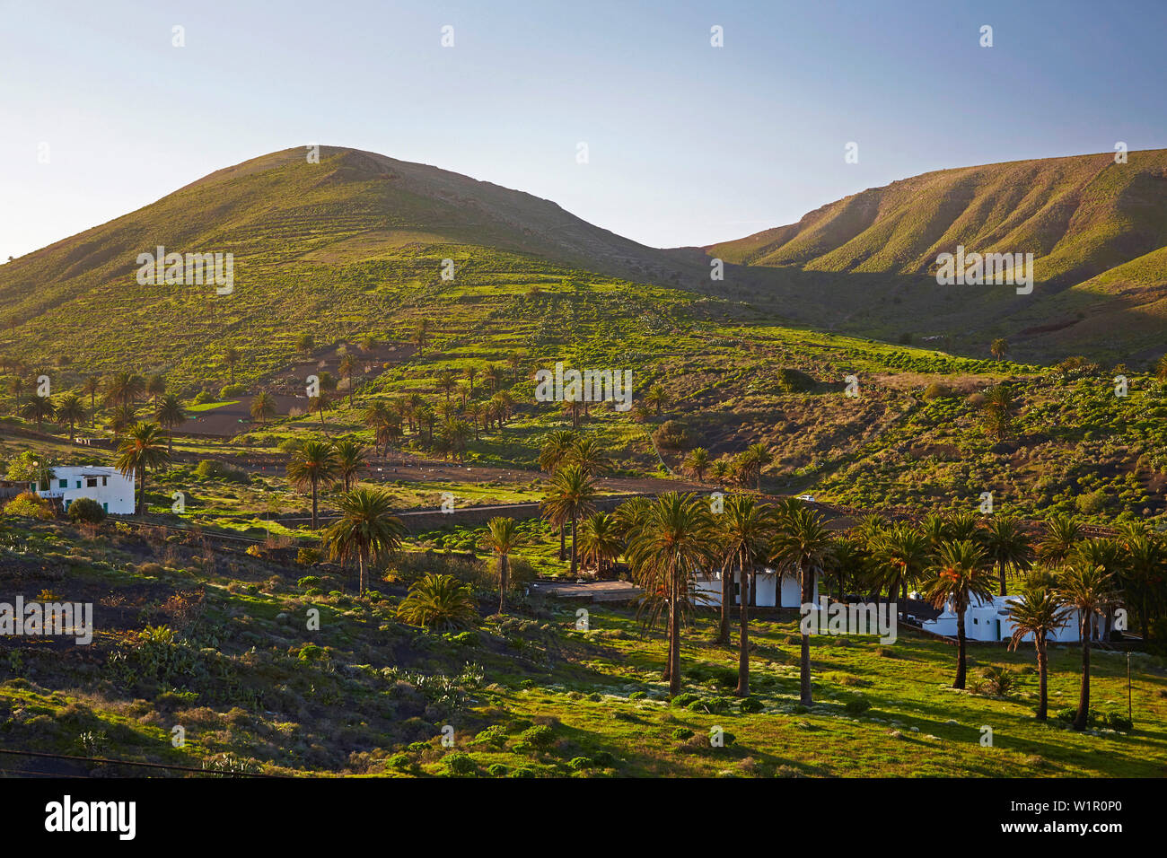 Ferme à Haria, Lanzarote, Canaries, Islas Canarias, Spain, Europe Banque D'Images