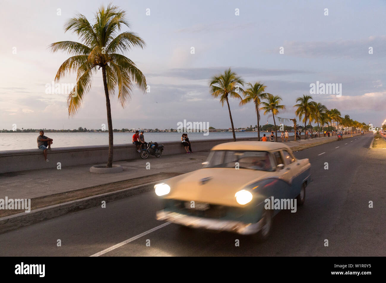 Oldtimer roulant le long du Malecon de Cienfuegos, point de rencontre dans la soirée et la nuit, la vie nocturne, la rue vide, palmier, ville coloniale, la famille Banque D'Images