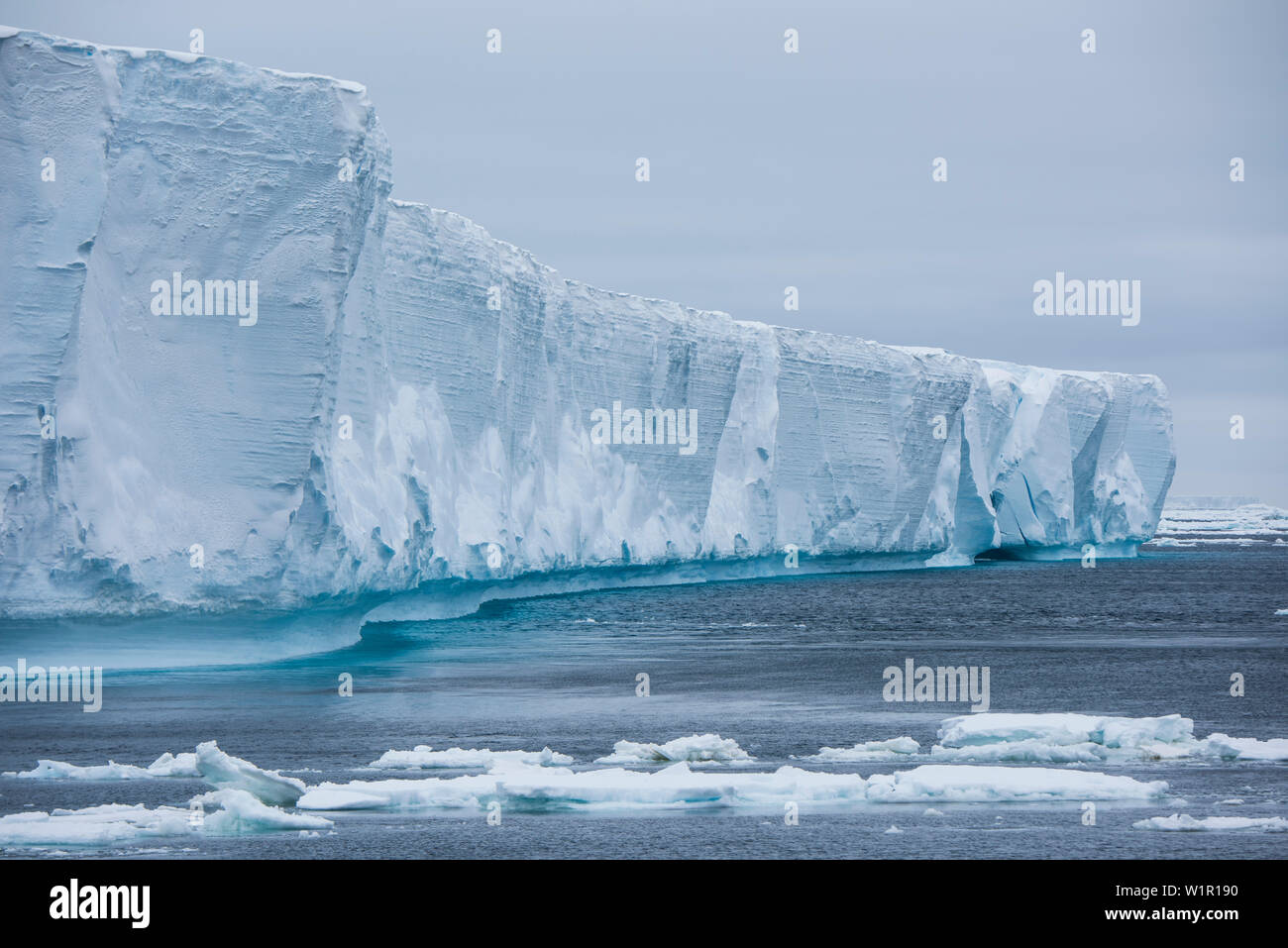 Vue rapprochée d'un énorme iceberg échoué, l'augmentation de 20 mètres ou plus au-dessus de la surface de l'eau, l'île Paulet, Péninsule Antarctique, l'Antarctique Banque D'Images