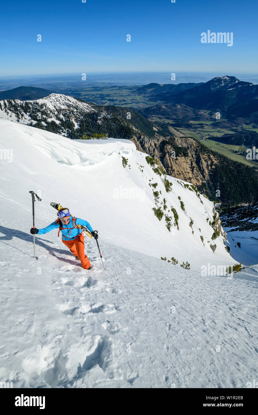 L'arrière-pays-ski femme croissant sur le pied sur la face raide, Hochmiesing, Spitzing, Alpes bavaroises, Upper Bavaria, Bavaria, Germany Banque D'Images