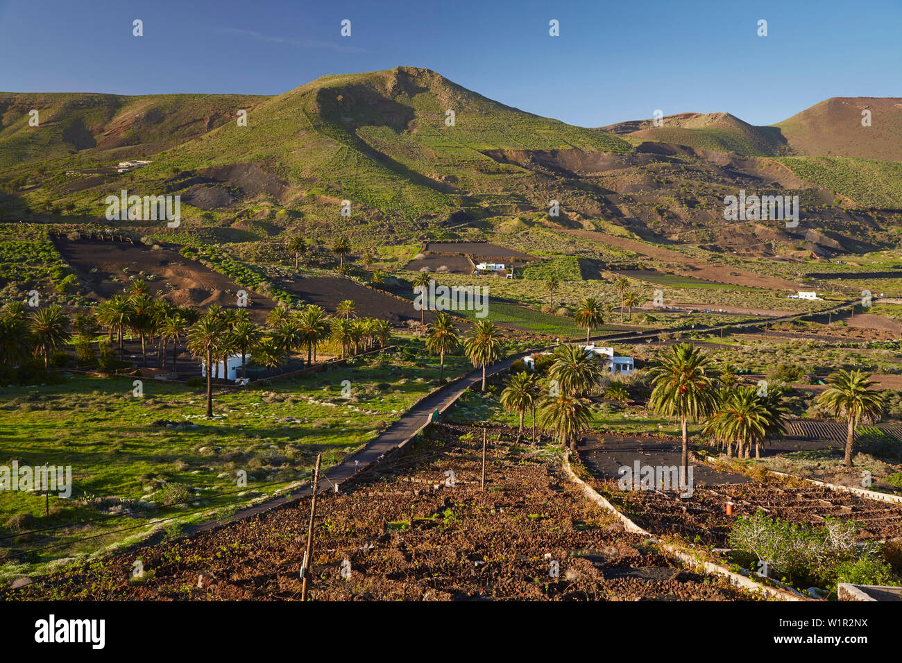 Ferme à Haria, Lanzarote, Canaries, Islas Canarias, Spain, Europe Banque D'Images