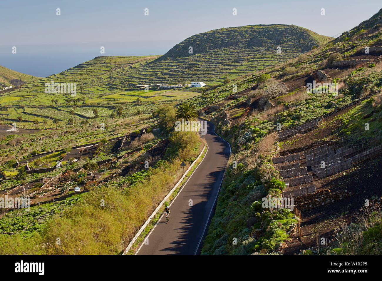 Voir à champs et fincas le long de la route PR-LZ 16 près de Haría, Lanzarote, Canaries, Islas Canarias, Spain, Europe Banque D'Images