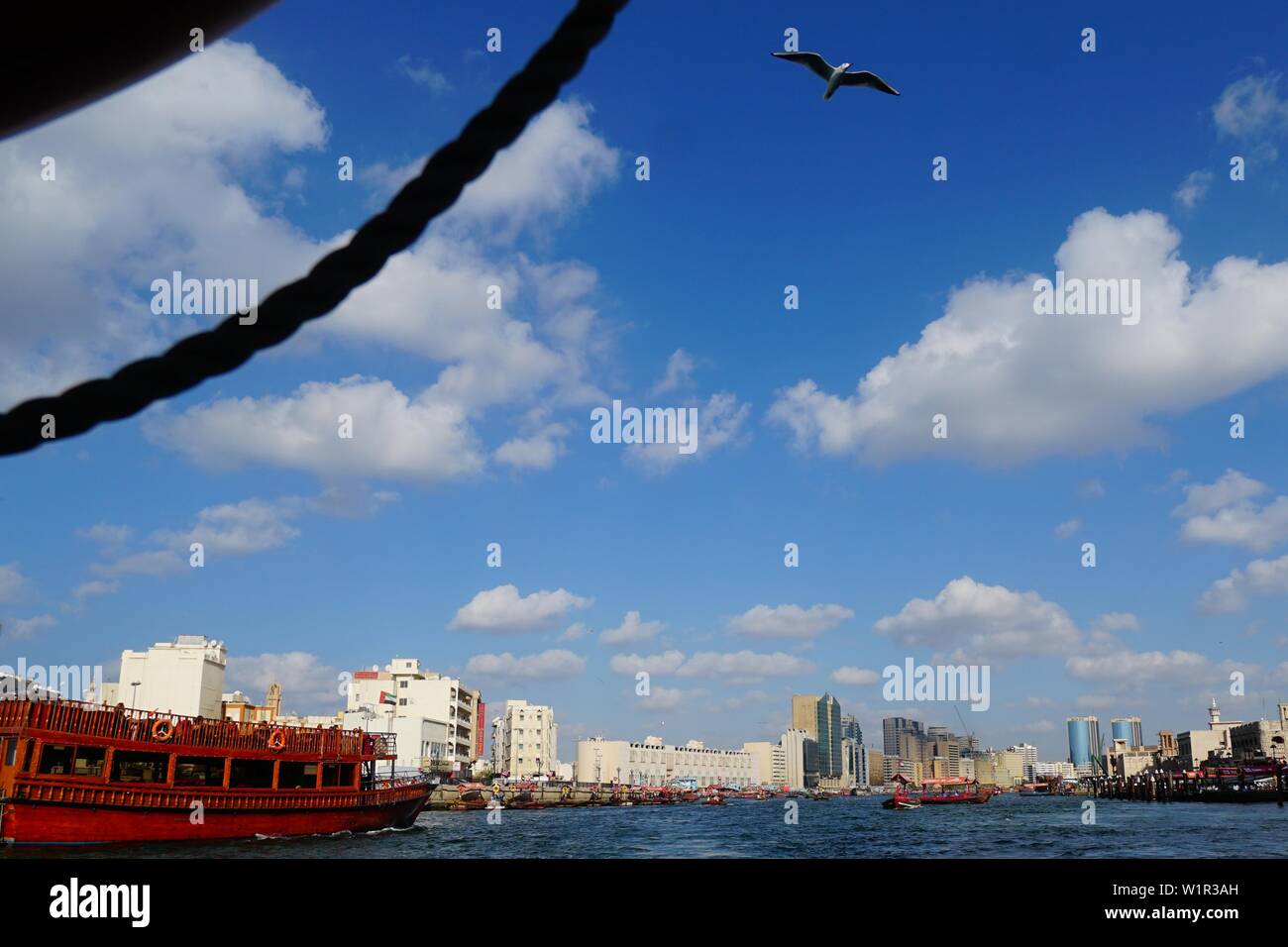 Gull, de bateau, d'Abra, Dubaï, Creek, DUBAÏ, ÉMIRATS ARABES UNIS, Émirats Arabes Unis Banque D'Images