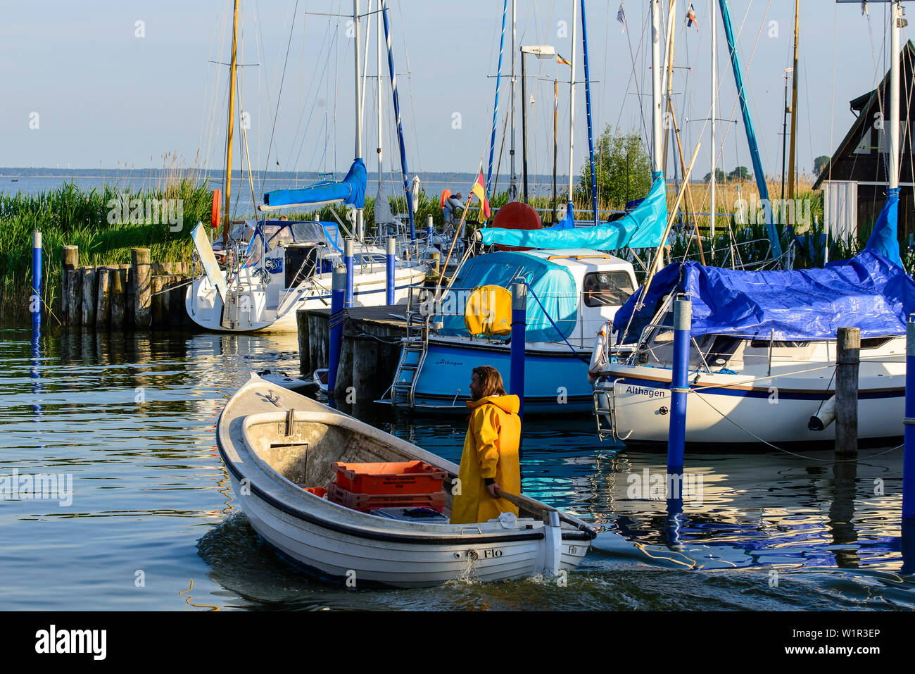 Les lecteurs de pêcheur à ses filets dans les Bodden, port d'Ahrenshoop / Althagen, Fischland, Ostseeküste, Mecklembourg-Poméranie-Occidentale Ostseeküste, Ge Banque D'Images