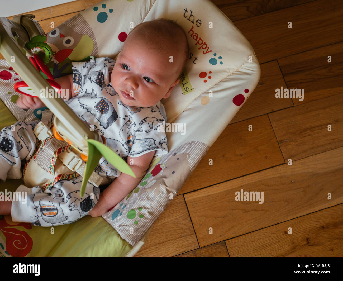 Jouet bébé dans Bouncer Banque D'Images