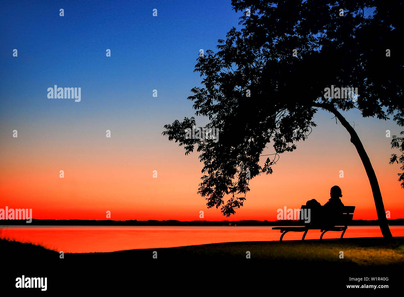 Femme assise sous un arbre sur un banc de parc avec de soleil colorés sur le lac de Chiemsee Banque D'Images