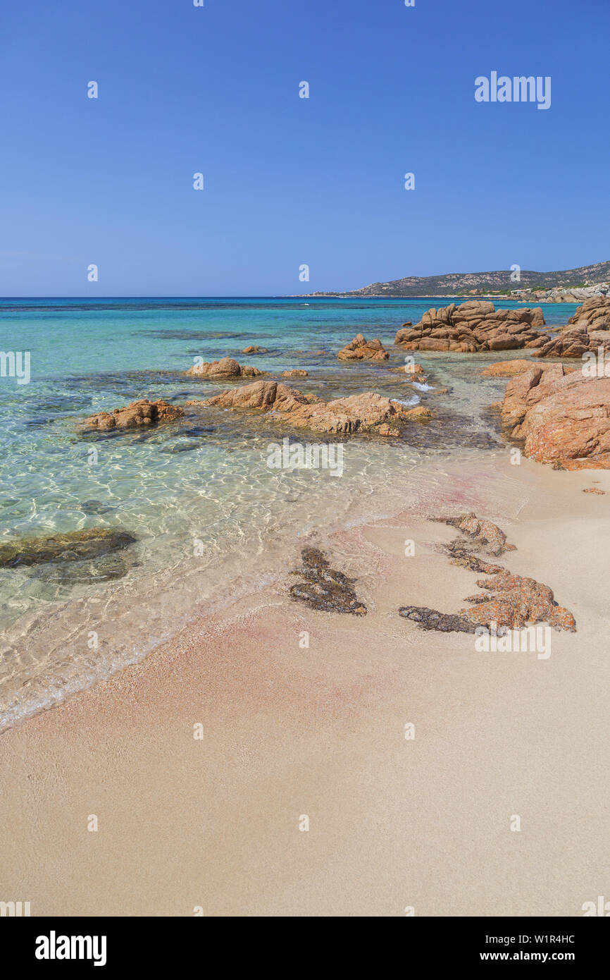 Clair comme de l'eau sur la plage de Tizzano, Corse du Sud, Corse, France du Sud, France, Europe du Sud, Europe Banque D'Images