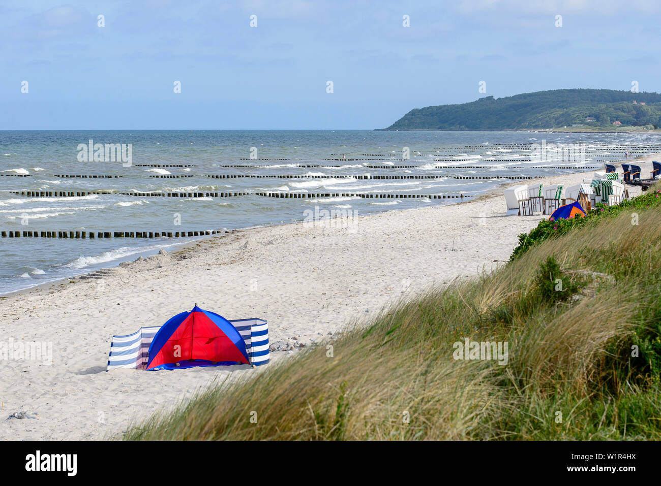 Plage avec shell, Vitte, Hiddensee, Rügen, Ostseeküste, Mecklembourg-Poméranie-Occidentale, Allemagne Banque D'Images