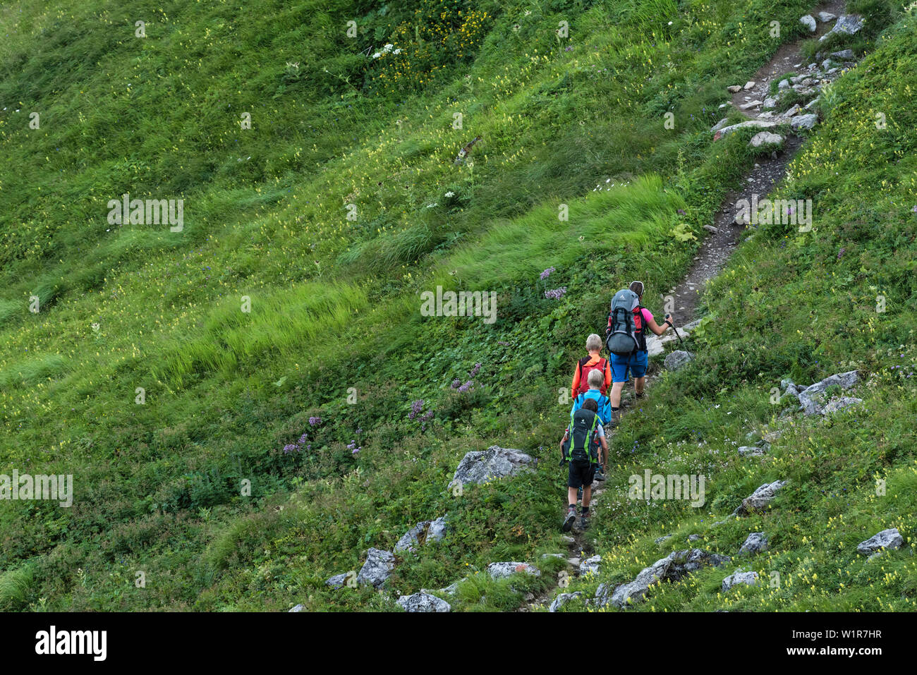 La randonnée longue distance, paysage de montagne, Sommet, Randonnée Vacances, vacances en famille, Randonnée, Nature, Tour de la montagne, été pré, prairie, Fleurs Alpin Banque D'Images