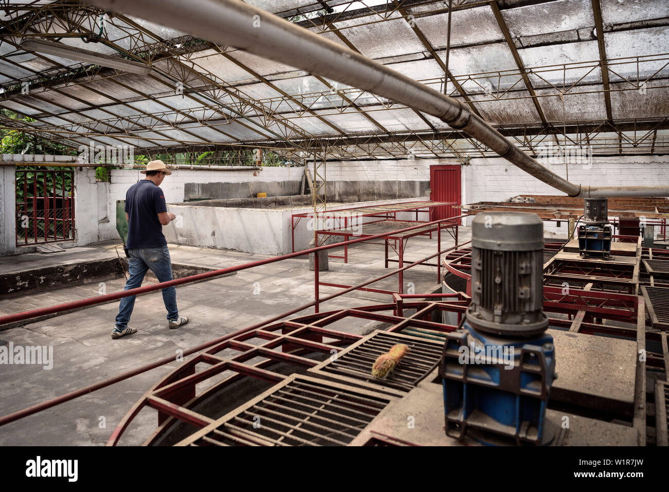 Machines pour la production de café, de Hacienda Venecia autour de Manizales, UNESCO World Heritage Coffee Triangle, Departmento Caldas, Colombie, Southamerica Banque D'Images