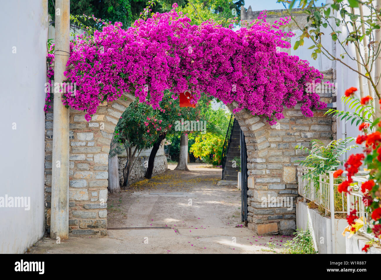 Les maisons blanches de style égéen traditionnel, plage, port de plaisance et ses rues colorées de bougainvilliers en fleurs de la ville de Bodrum en Turquie. Maison de vacances dans la ville de Bodrum. Banque D'Images