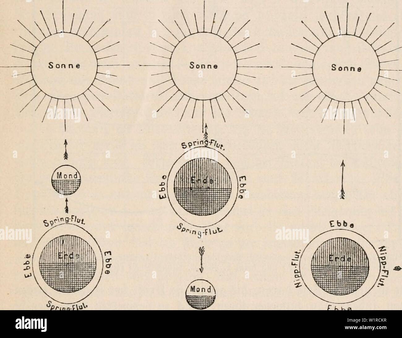 Image d'archive à partir de la page 52 de la das Meer, seine Erforschung und. Das Meer, seine Erforschung und sein Leben dasmeerseineerfo00jans Année : 1914 ®ic {§ontatcn)ort unb öcrtifalcn etüeguttgcn SOcernjafjcr 58 im 45 beiben refultierenbe tunben Siut innerhalb 12 bar. er Unterfd gtüifdiett §od)teb) tebrigtüa 9unb[fer ficf mact) ben offeuen Dgeanen auf nur meuig bemerfbar ; er beträgt uacf) krümme Xati hti 40 cm, bei 5§cenfion( 60 cm, bei @t dtna 90 cm, dans übgeorgien 80 cm, bewegt fid alfo auf ben SBeltmeeren meift jtüifden offenen unb 0,5 1,0 m. Änberö tutmeKe bie affaire Nenn, aber auf groe unb Sanbmaffen II III Banque D'Images