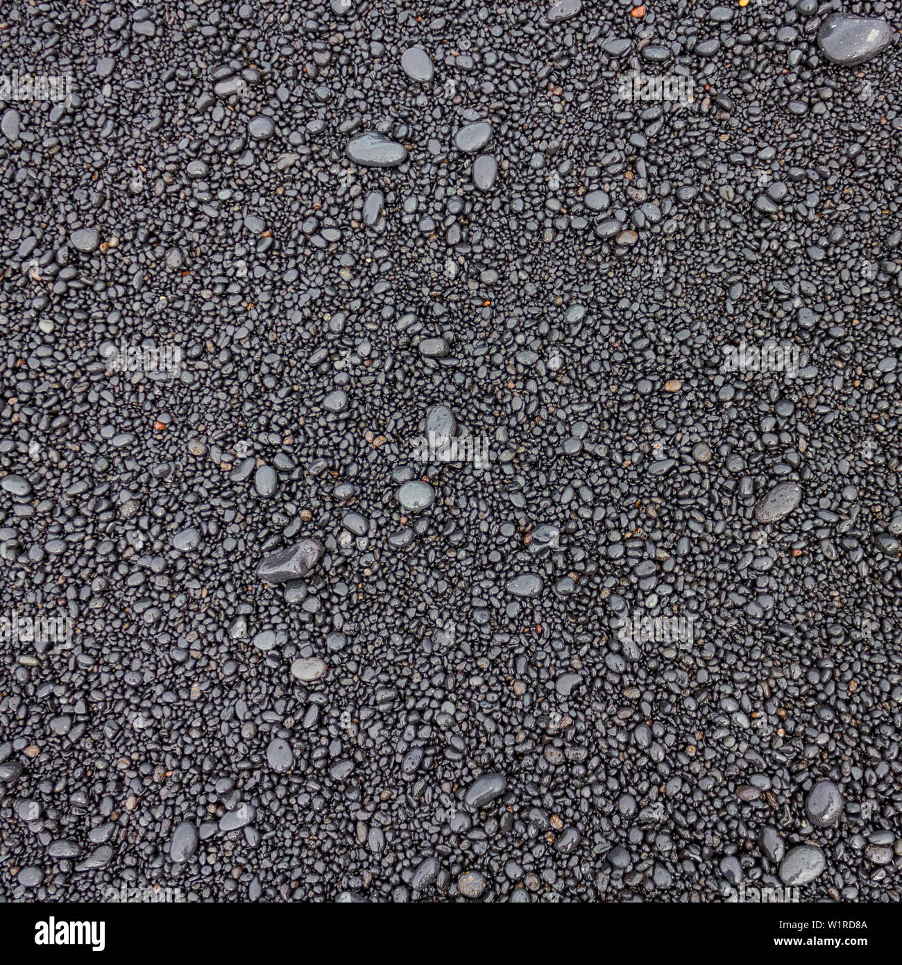 Taille petite plage humide des pierres d'origine volcanique avec une variété de formes arrondies et de couleurs grises comme une texture de fond Banque D'Images