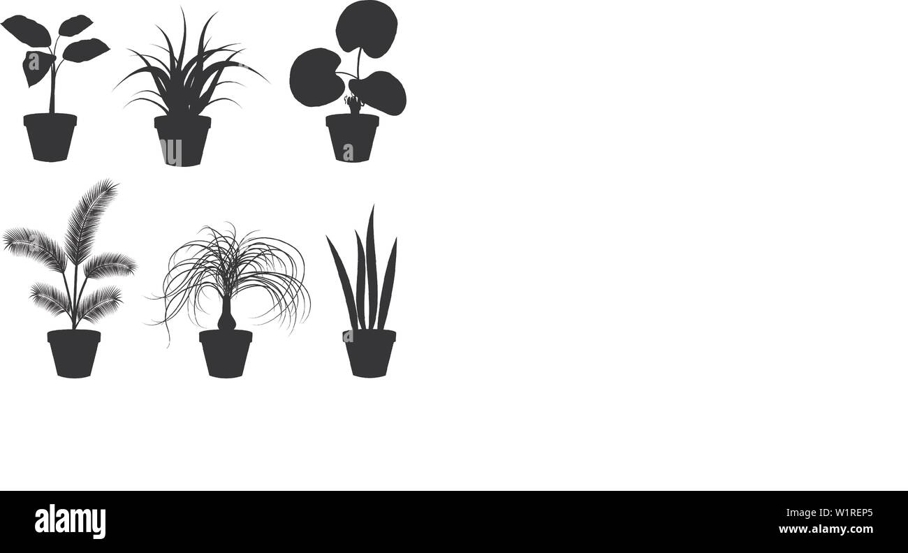 Accueil fleurs et plantes.fleurs colorées dans des vases. Vector Illustration. Illustration de Vecteur