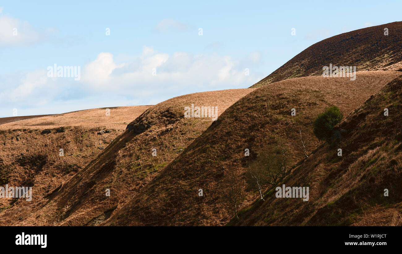 Vue sur les collines et la vallée avec des arbres et Heather sous ciel bleu en été, Goathland, Yorkshire, UK. Banque D'Images