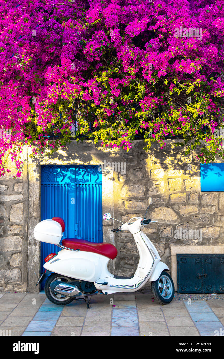 Les maisons blanches de style égéen traditionnel, plage, port de plaisance et ses rues colorées de bougainvilliers en fleurs de la ville de Bodrum en Turquie. Maison de vacances dans la ville de Bodrum. Banque D'Images
