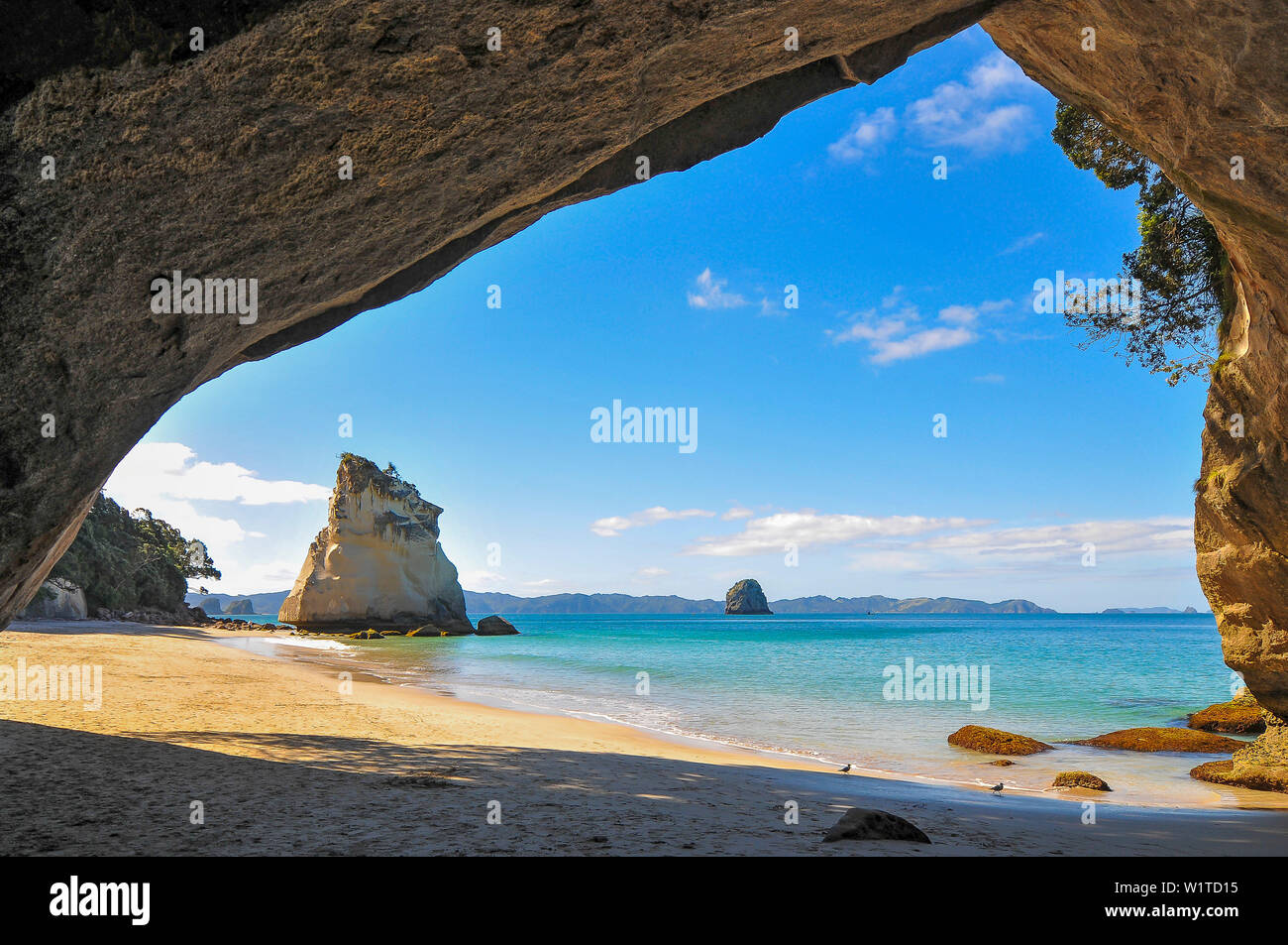 Vue de l'intérieur la cathédrale Cove sur la baie de mercure, Coromandel, île du Nord, Nouvelle-Zélande Banque D'Images