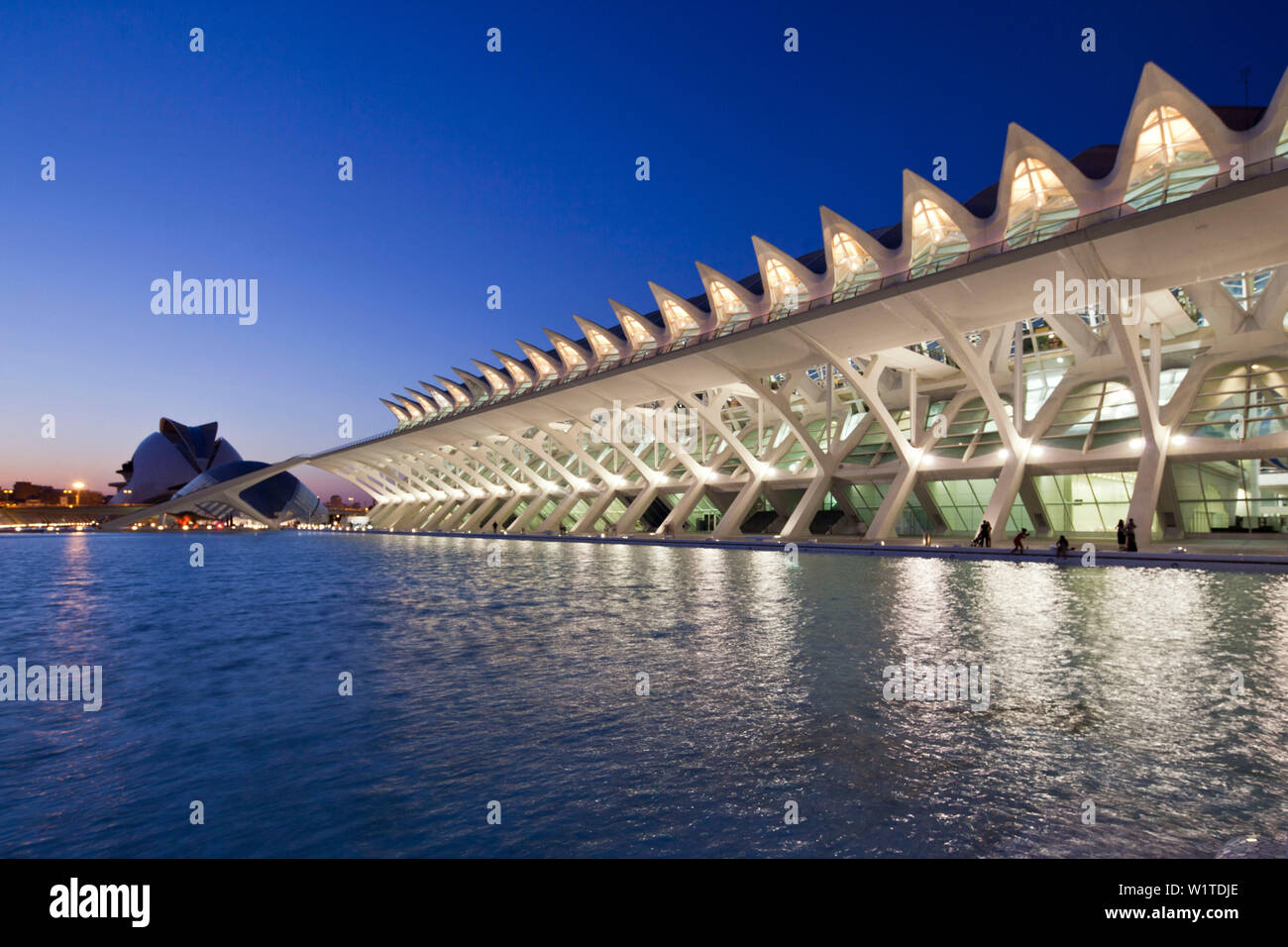 Musée des sciences Principe Felipe, le Palau de les Arts Reina Sofia, Valencia, Espagne Banque D'Images