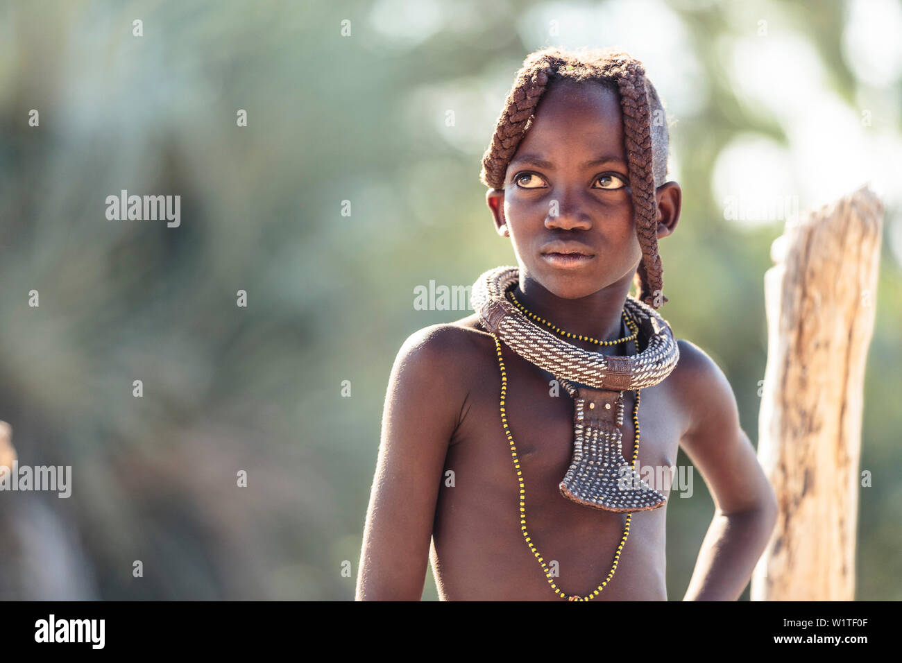 Jeune fille Himba avec la coiffure et les bijoux traditionnels, Kunene, Namibie, Afrique du Sud Banque D'Images