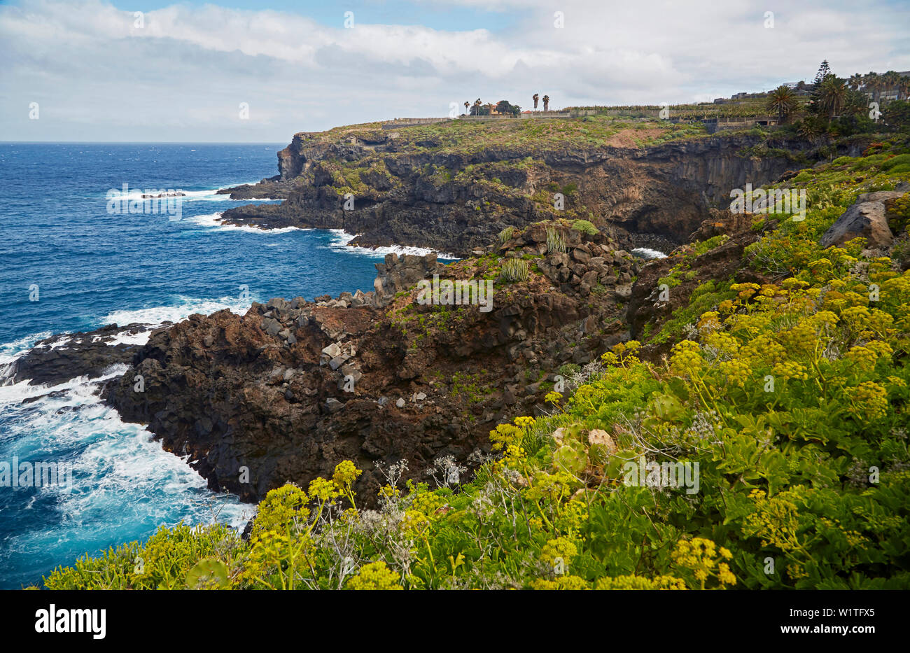 Côte Rocheuse sauvage à Buenavista del Norte, Tenerife, Canaries, Islas Canarias, Océan Atlantique, l'Espagne, Europe Banque D'Images