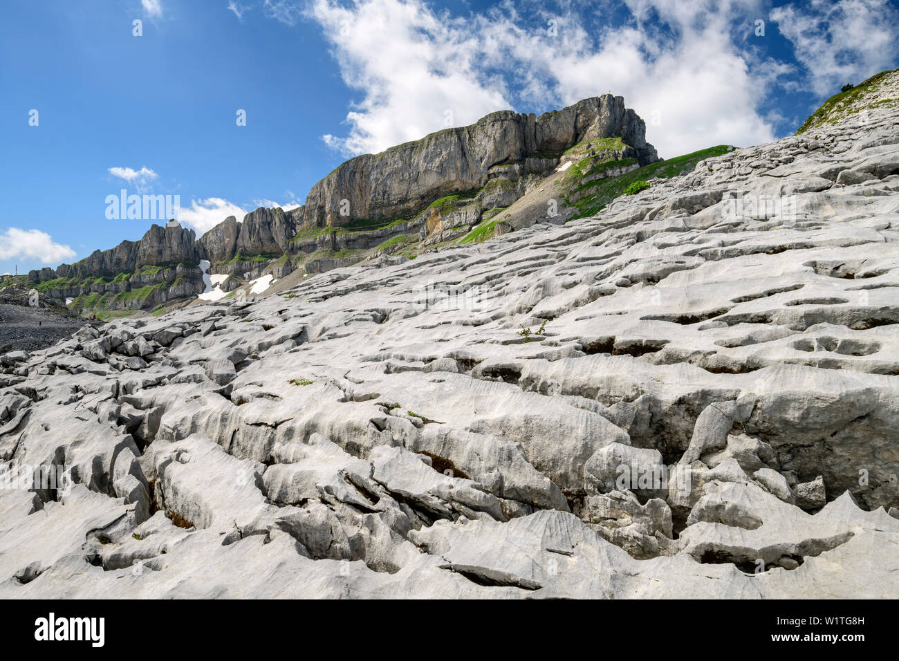 La formation karstique du plateau à Gottesackerplateau avec Hoher Ifen en arrière-plan, les Alpes, vallée de l'Allgaeu Walsertal, Vorarlberg, Autriche Banque D'Images