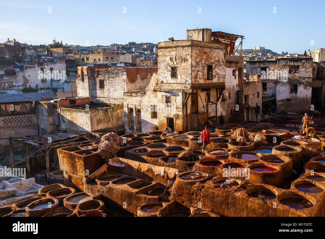 En tannage du cuir Tannerie Chouara à Fes, Maroc, Afrique Banque D'Images