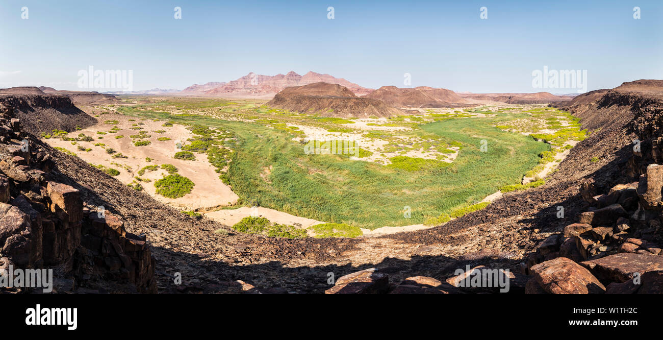 Au milieu du désert vert : la végétation dans une courbe de la rivière Huab, Damaraland, Namibie, Kunene Banque D'Images